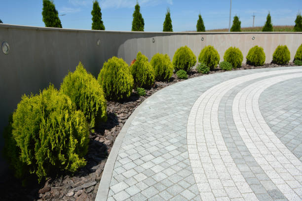 Best Driveway Paving Contractor  in Reserve, LA